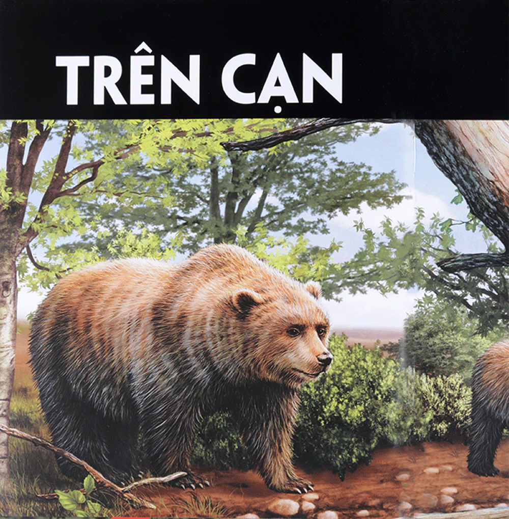 di chuyển và di cư - Ảnh 4