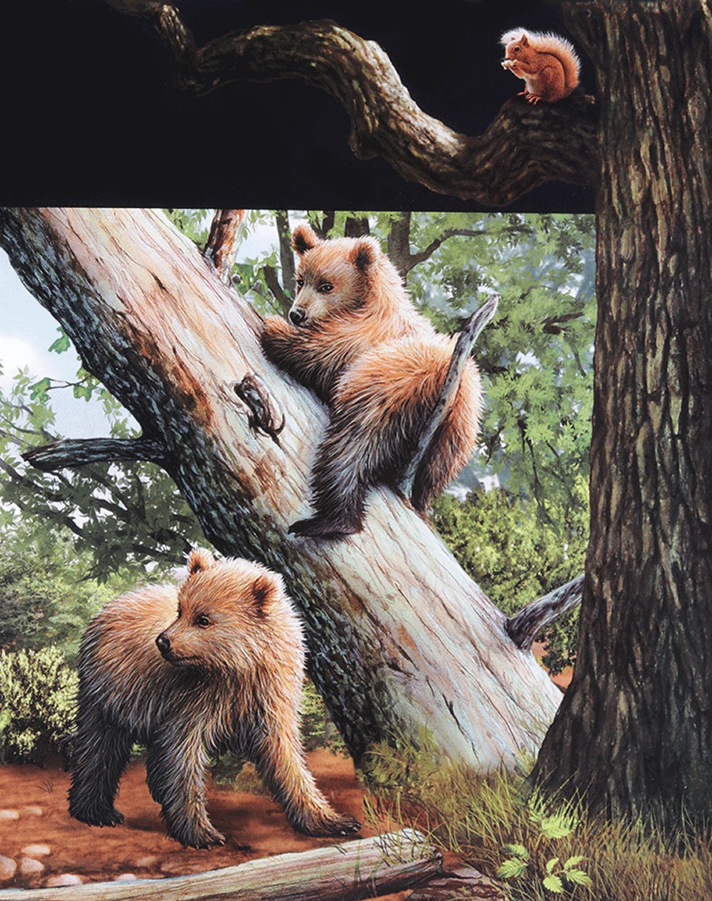 di chuyển và di cư - Ảnh 5