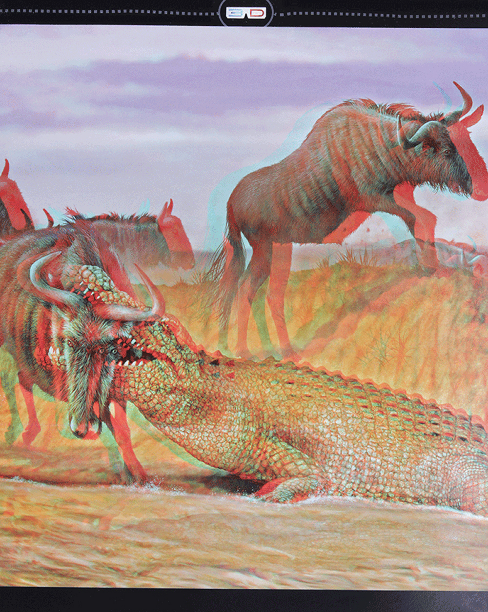 di chuyển và di cư - Ảnh 7