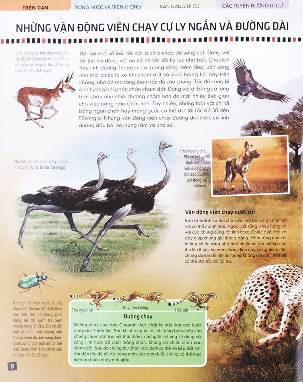 di chuyển và di cư - Ảnh 8