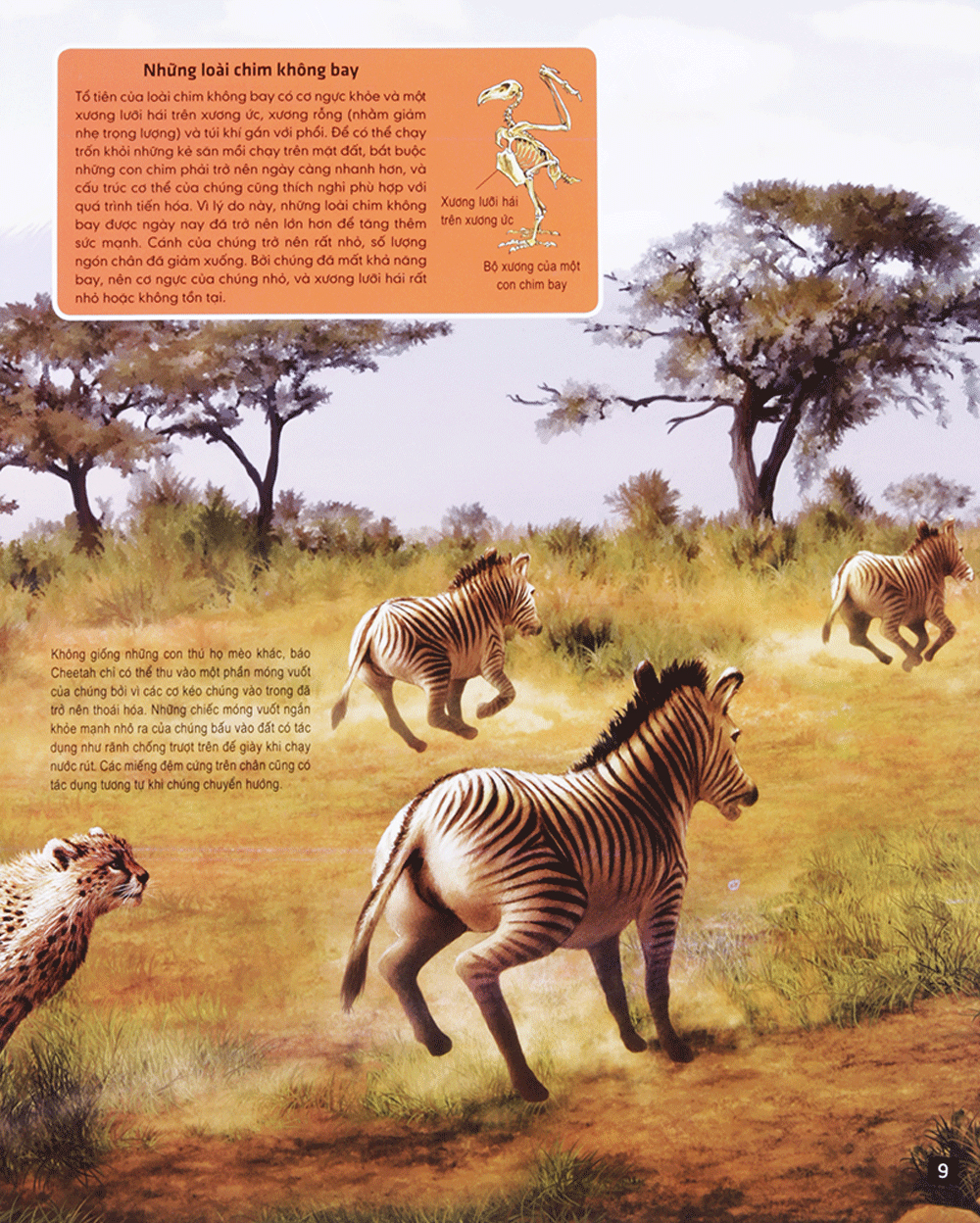 di chuyển và di cư - Ảnh 9