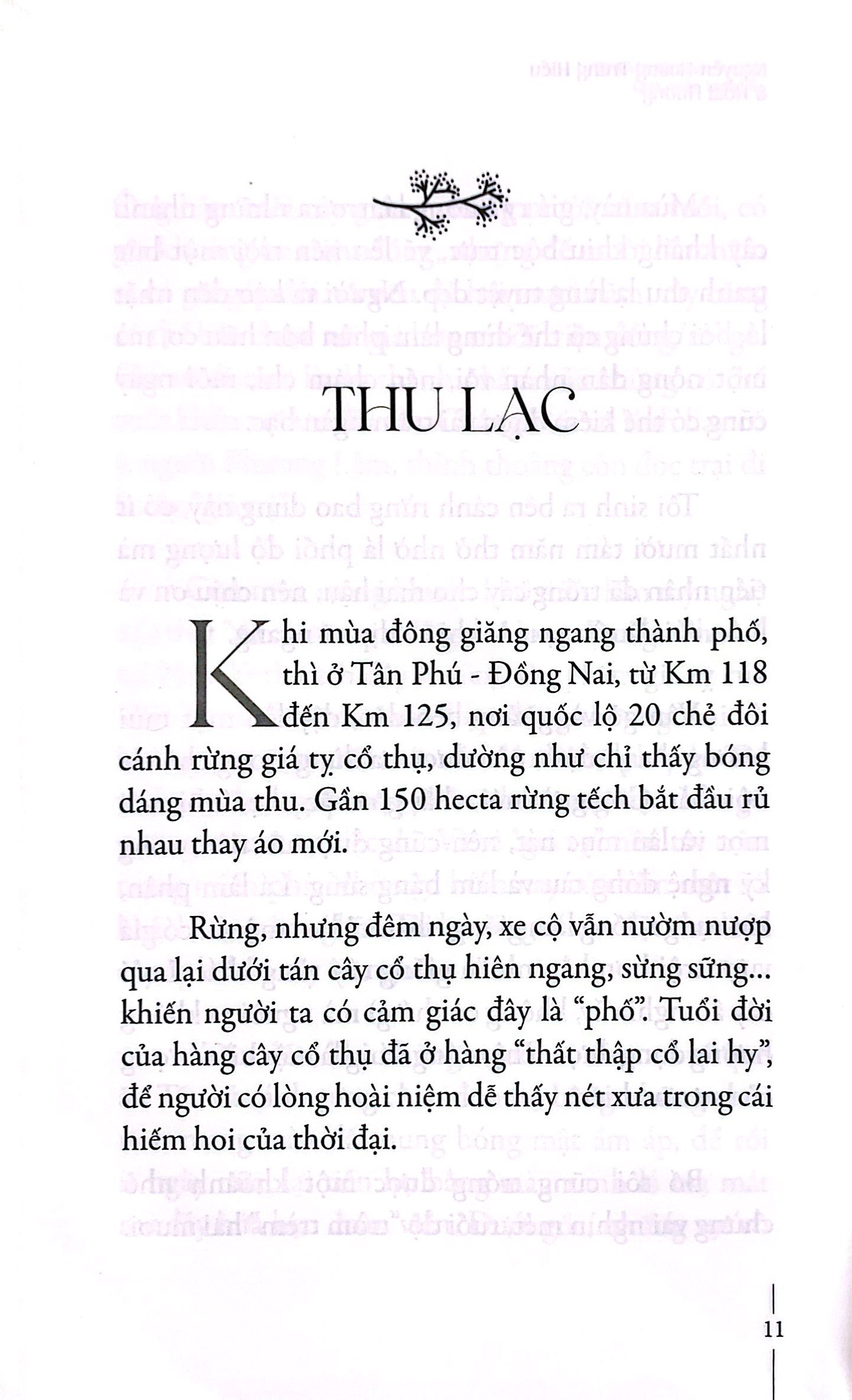 đi dọc mùa nhớ - qua miền tương tư - Ảnh 6