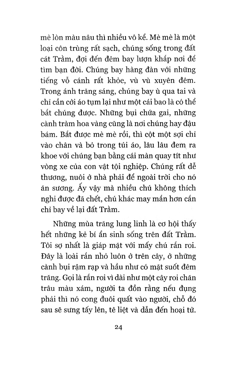 đi như là ở lại (tái bản 2018) - Ảnh 13