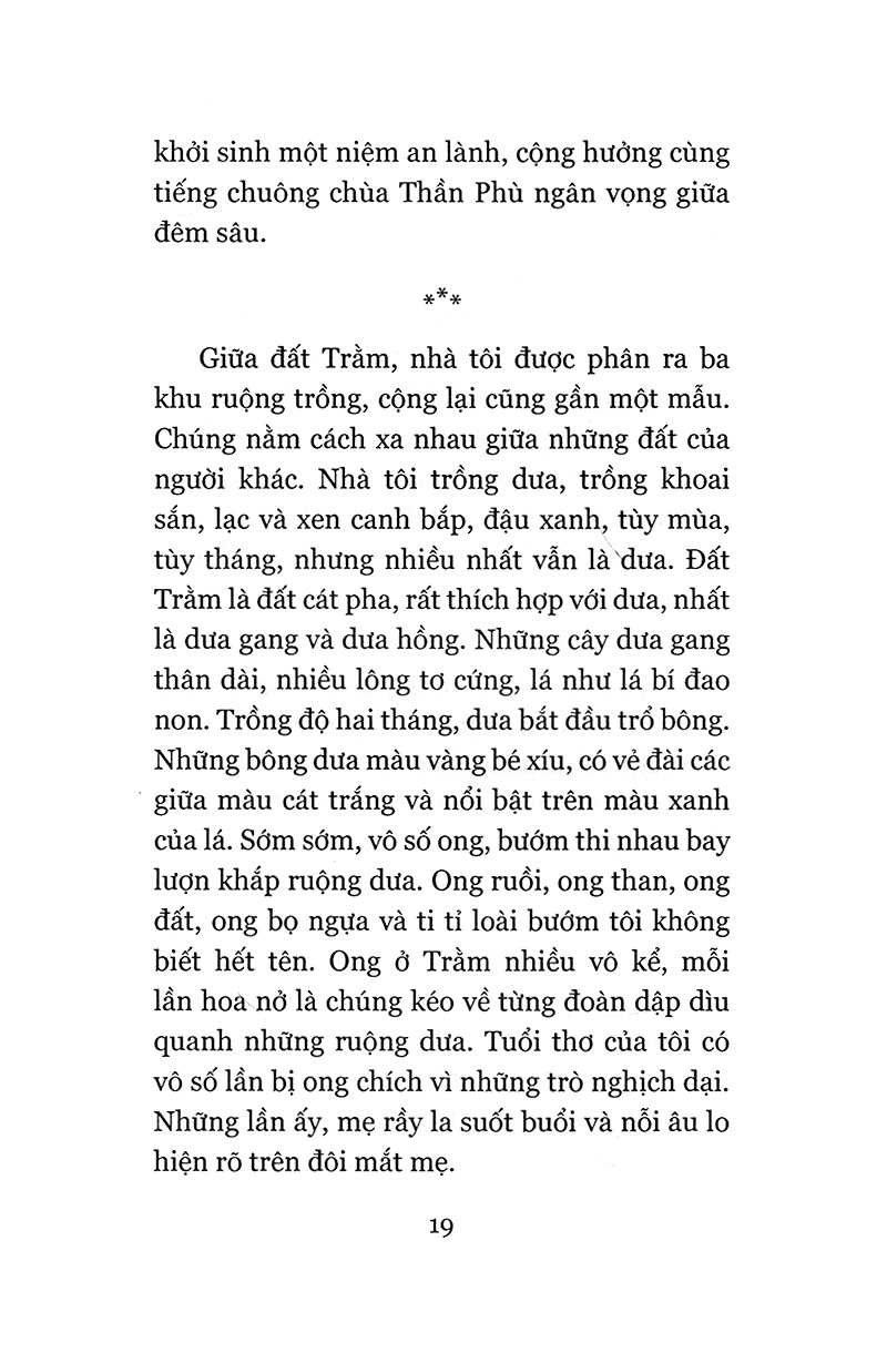 đi như là ở lại (tái bản 2018) - Ảnh 8