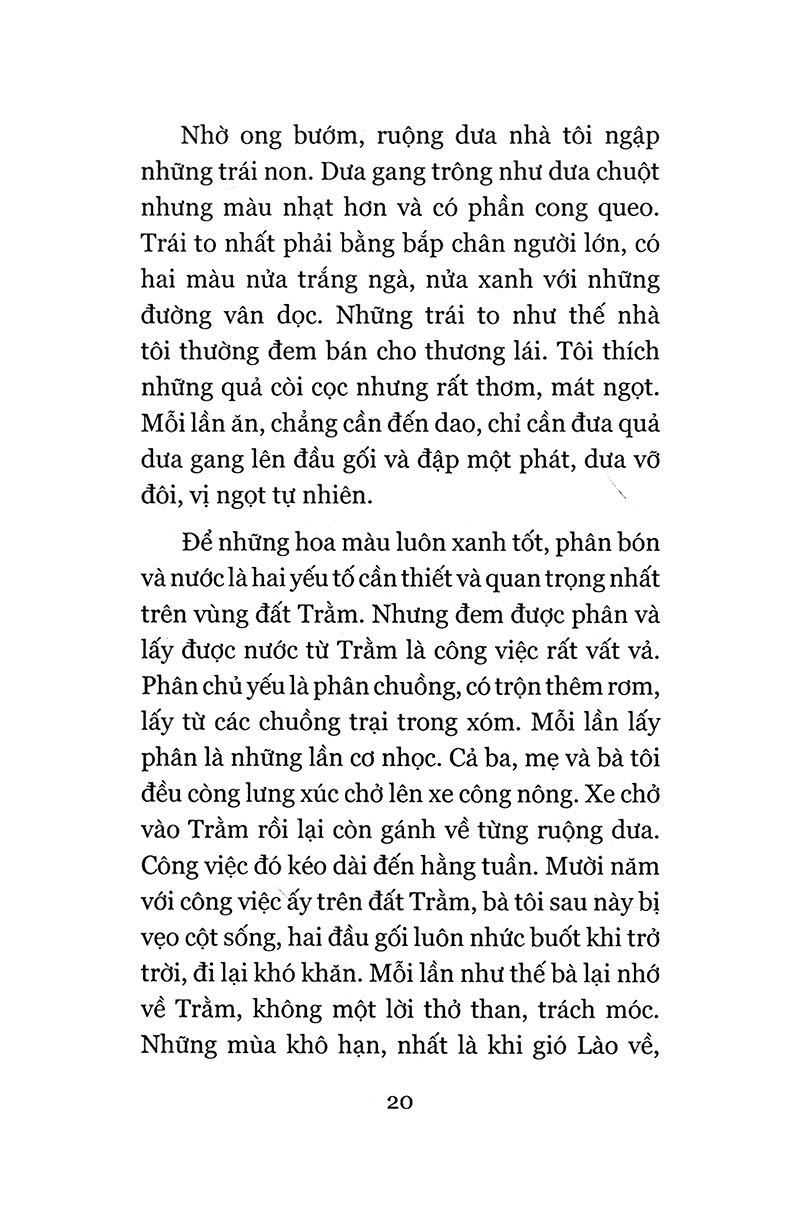 đi như là ở lại (tái bản 2018) - Ảnh 9