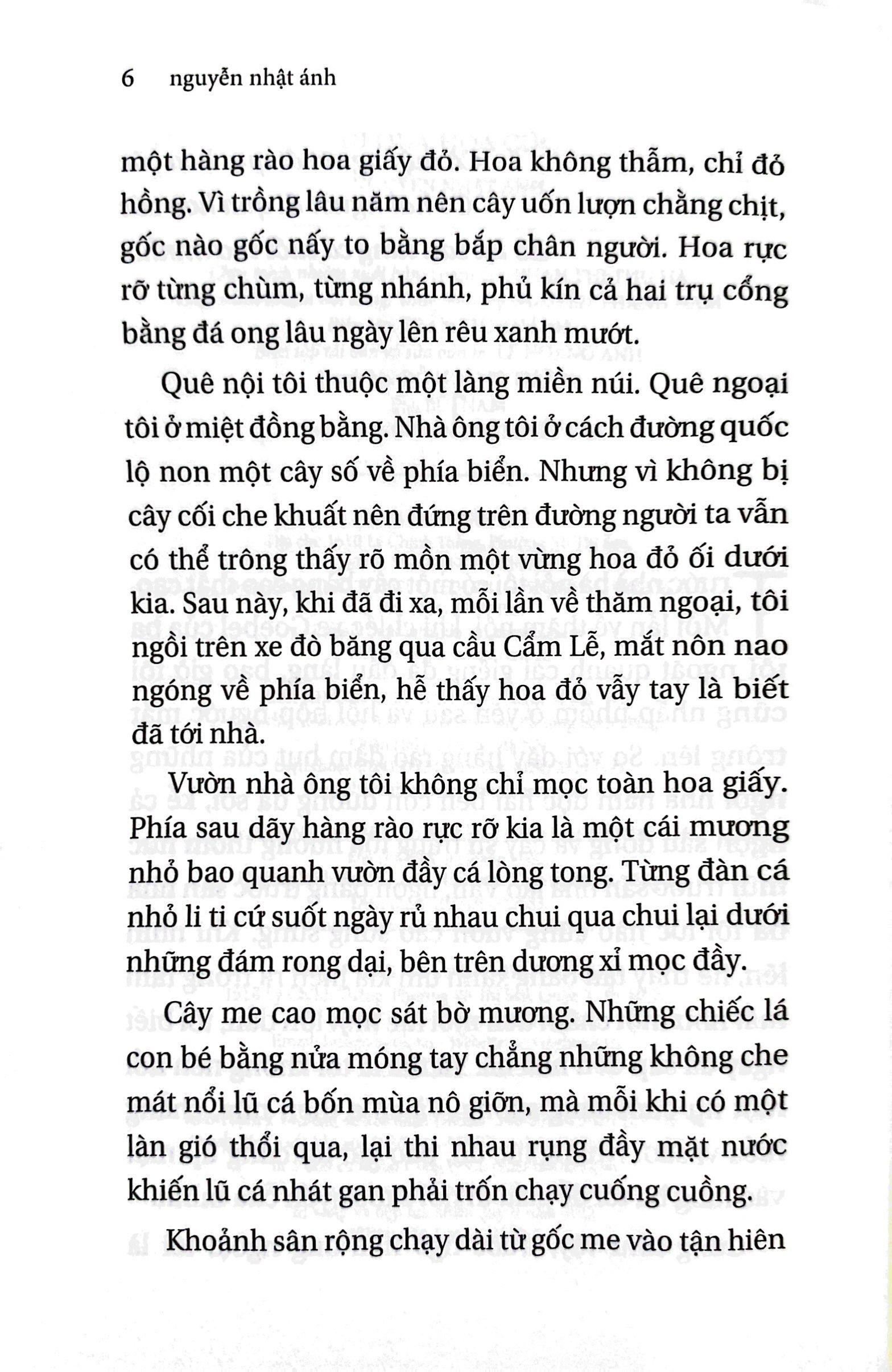 đi qua hoa cúc (tái bản 2022) - Ảnh 4