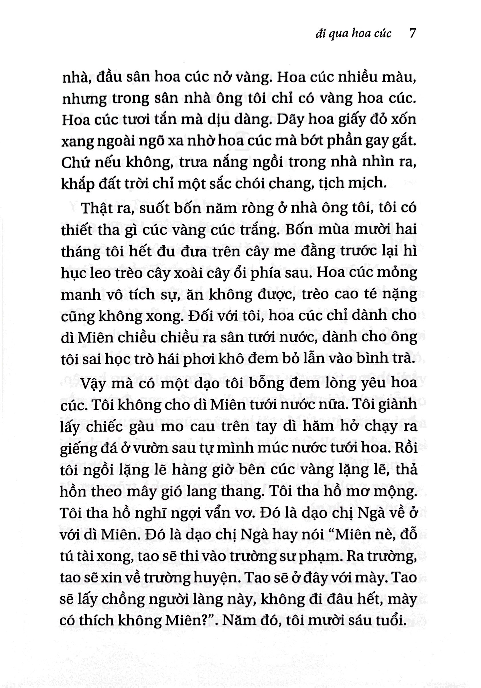 đi qua hoa cúc (tái bản 2022) - Ảnh 5