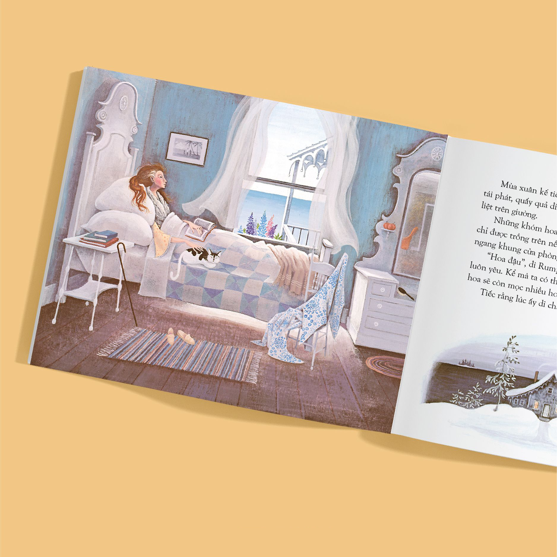 dì rumphius - bìa cứng - Ảnh 3