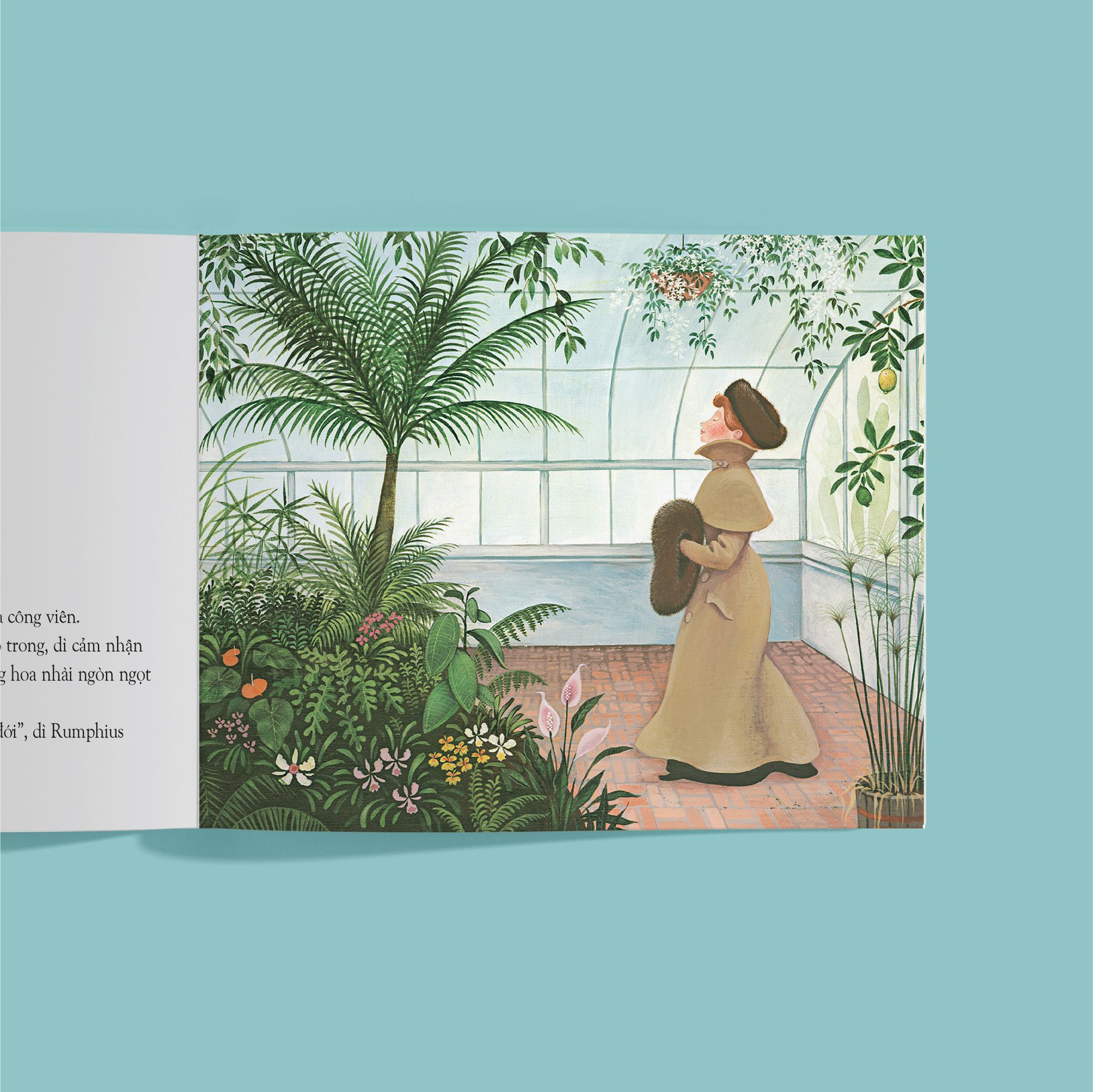 dì rumphius - bìa cứng - Ảnh 4