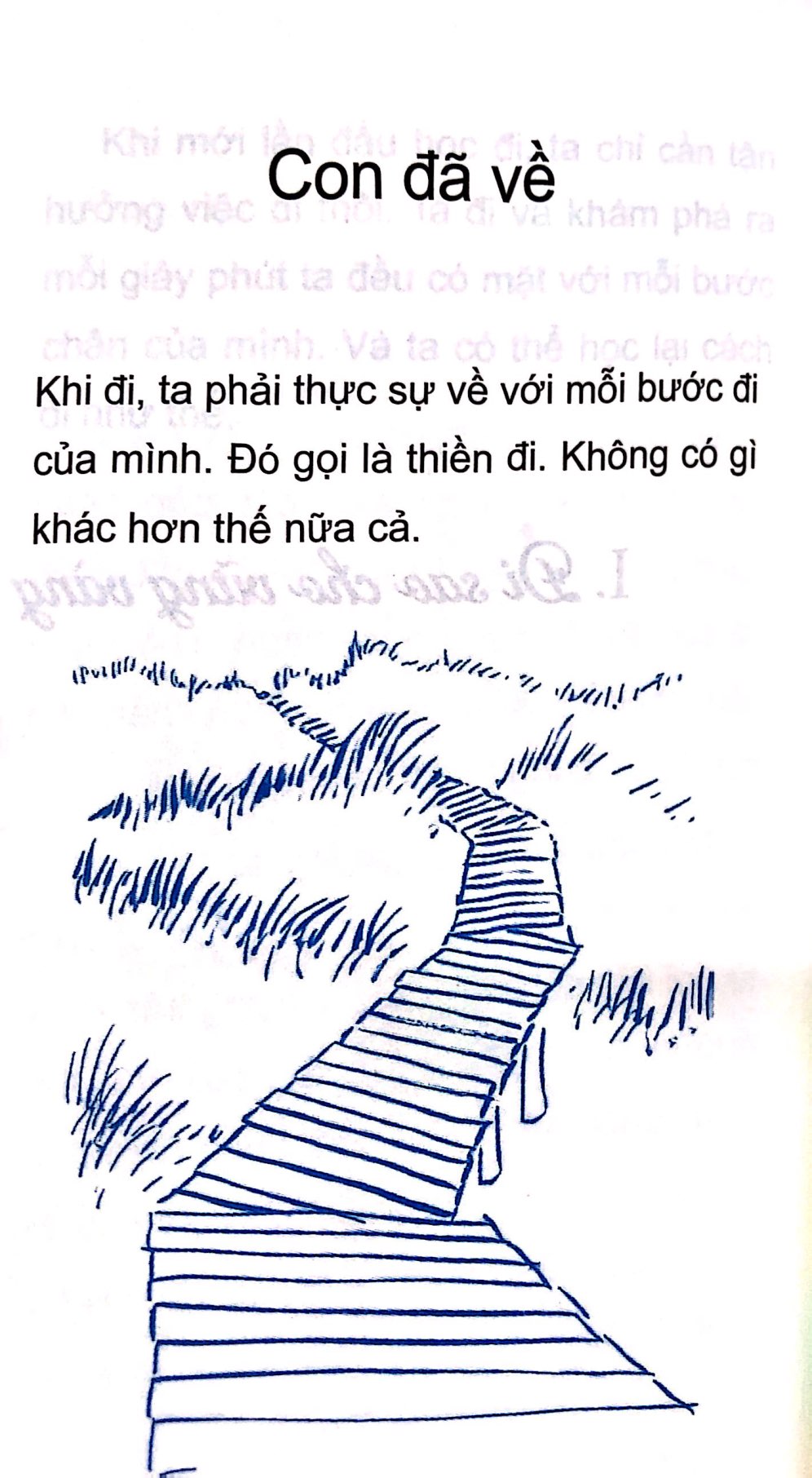 đi sao cho vững vàng - how to walk - Ảnh 7