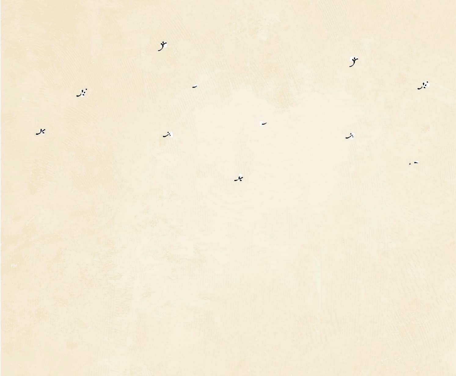 đi vào thực tại - thức tỉnh tâm linh qua câu chuyện của chó mèo - Ảnh 9