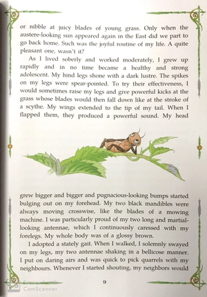 diary of a cricket (tái bản 2024) - Ảnh 5