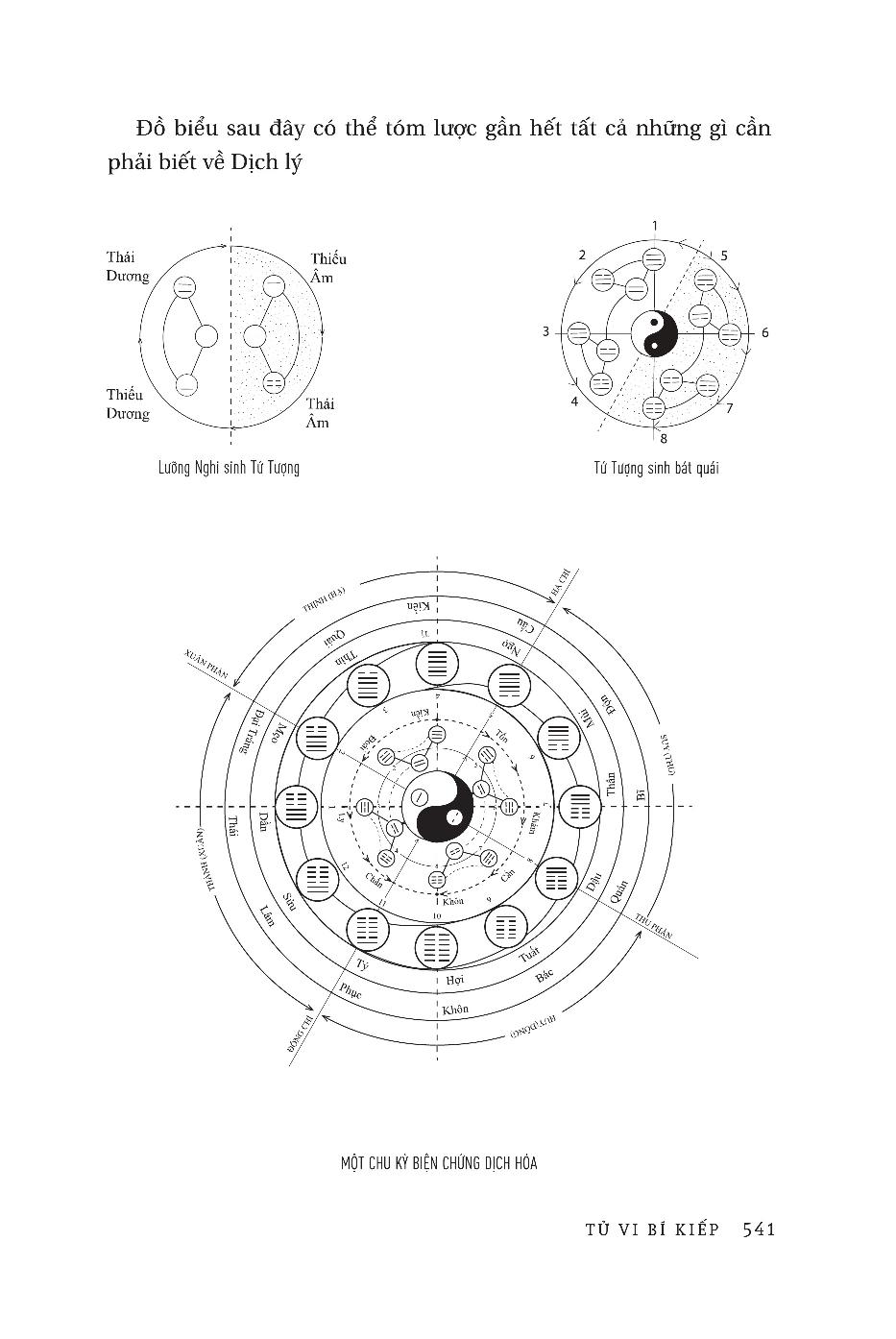 dịch tượng luận - tử vi bí kiếp (bìa cứng) - Ảnh 21