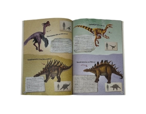 dig and discover kits - dinosaurs - Ảnh 4
