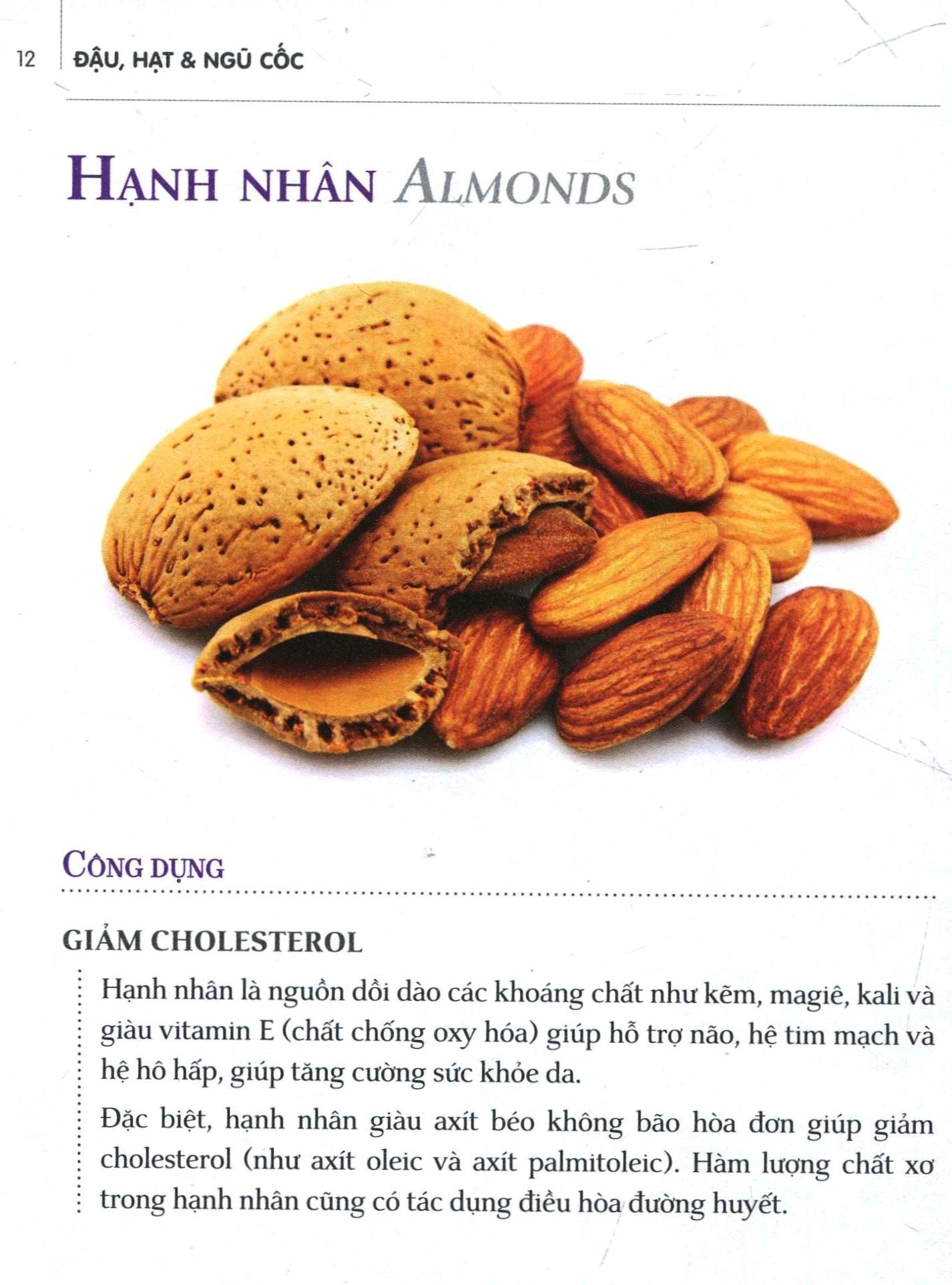 dinh dưỡng chữa bệnh - đậu, hạt & ngũ cốc - Ảnh 7