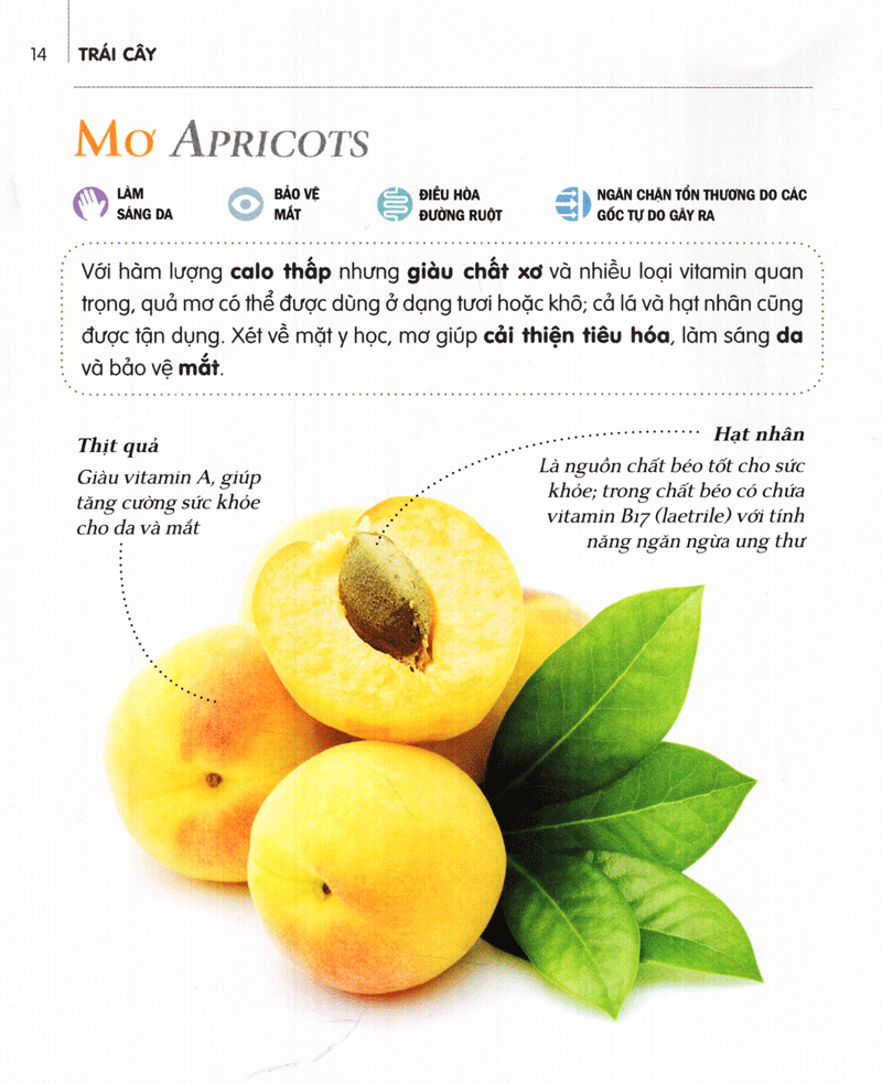 dinh dưỡng chữa bệnh - trái cây (tái bản 2021) - Ảnh 10