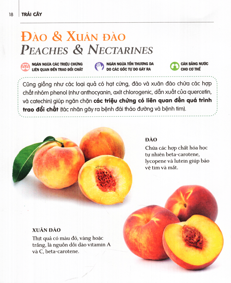 dinh dưỡng chữa bệnh - trái cây (tái bản 2021) - Ảnh 12
