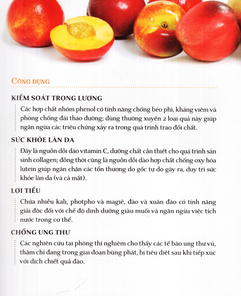 dinh dưỡng chữa bệnh - trái cây (tái bản 2021) - Ảnh 13