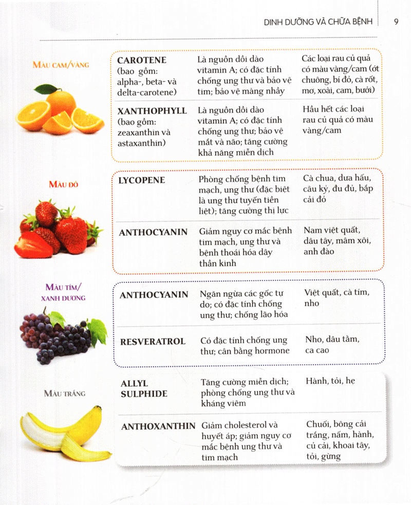 dinh dưỡng chữa bệnh - trái cây (tái bản 2021) - Ảnh 5