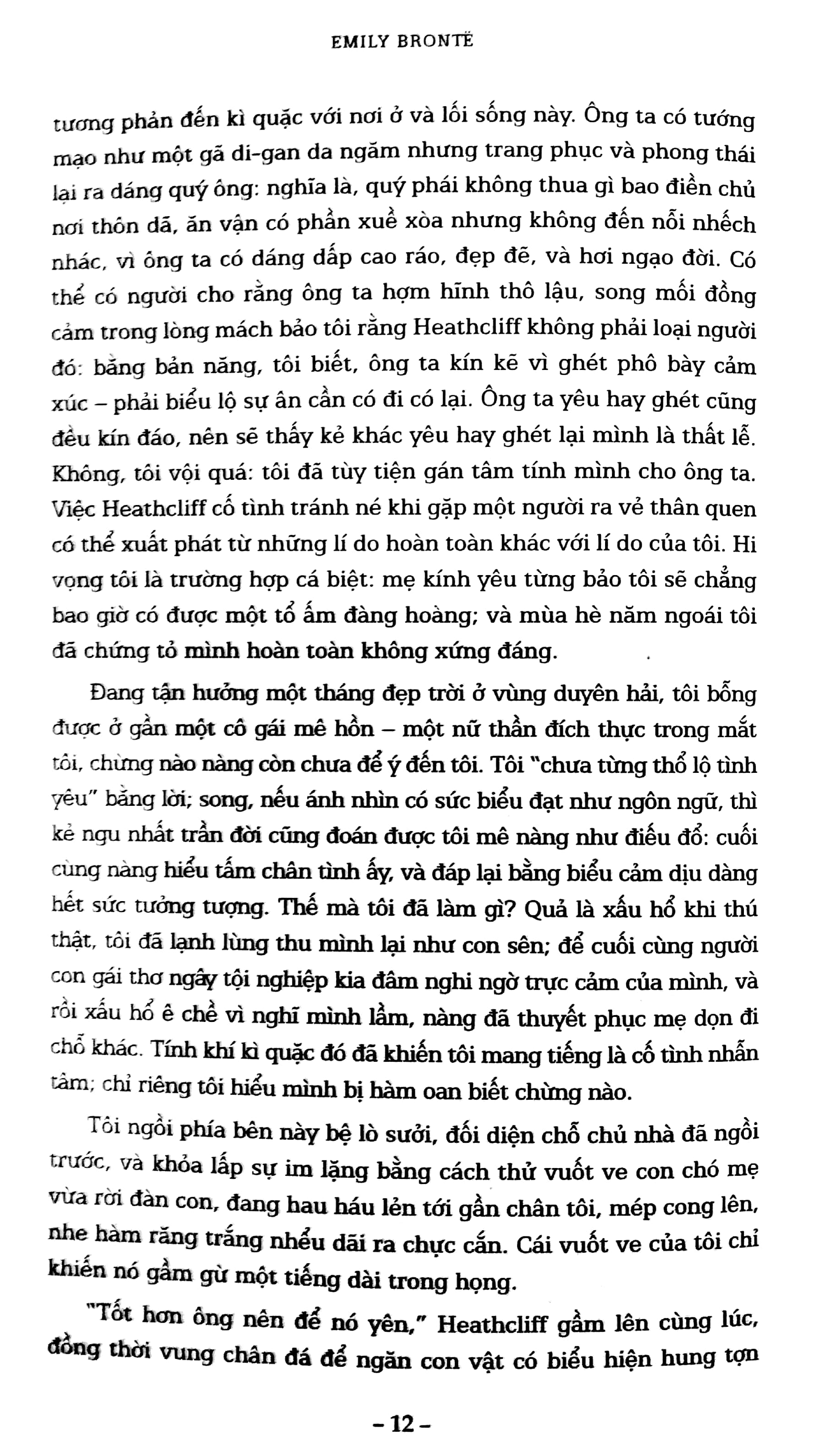 đỉnh gió hú (bìa mềm) - Ảnh 5