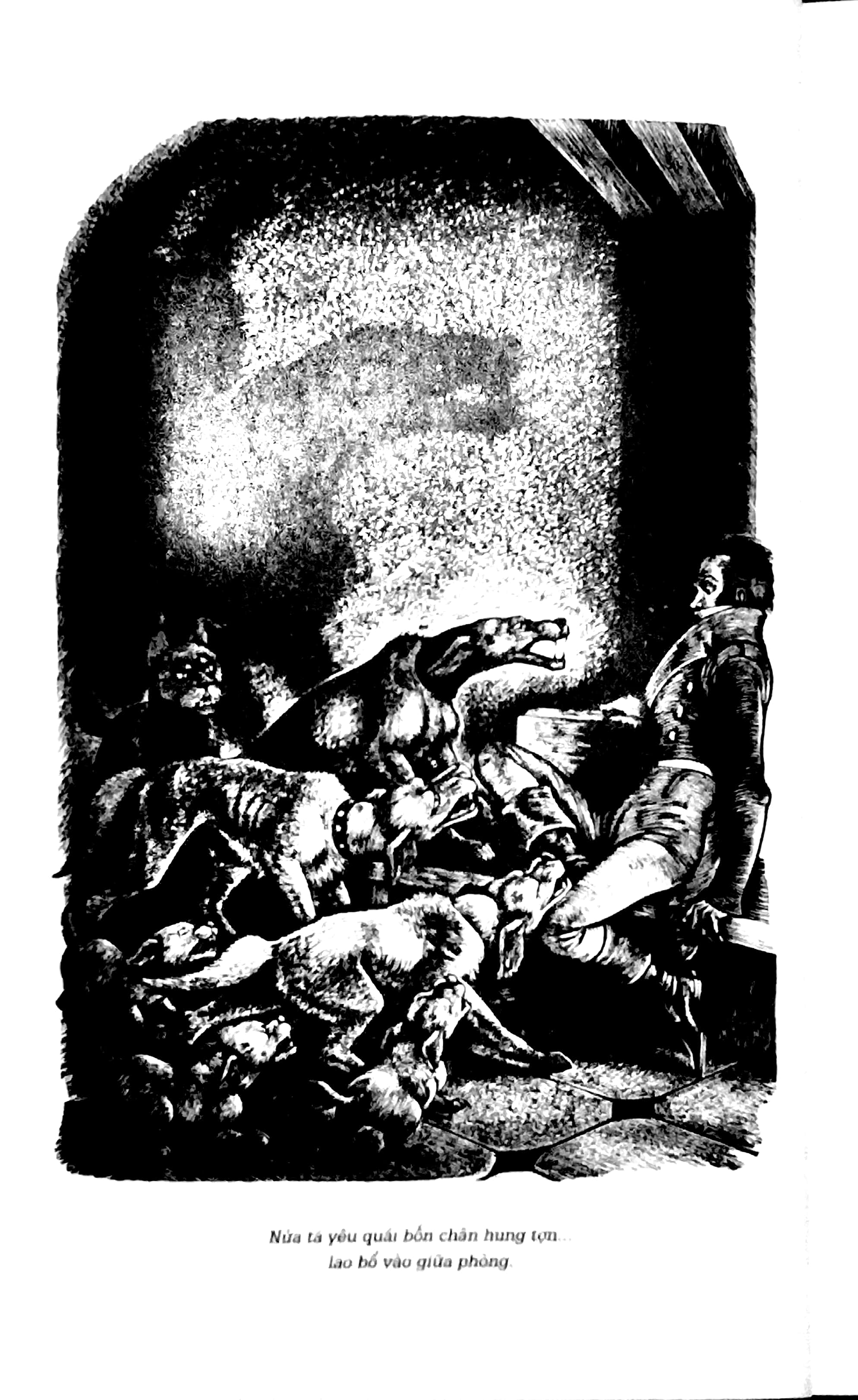 đỉnh gió hú (bìa mềm) - Ảnh 7