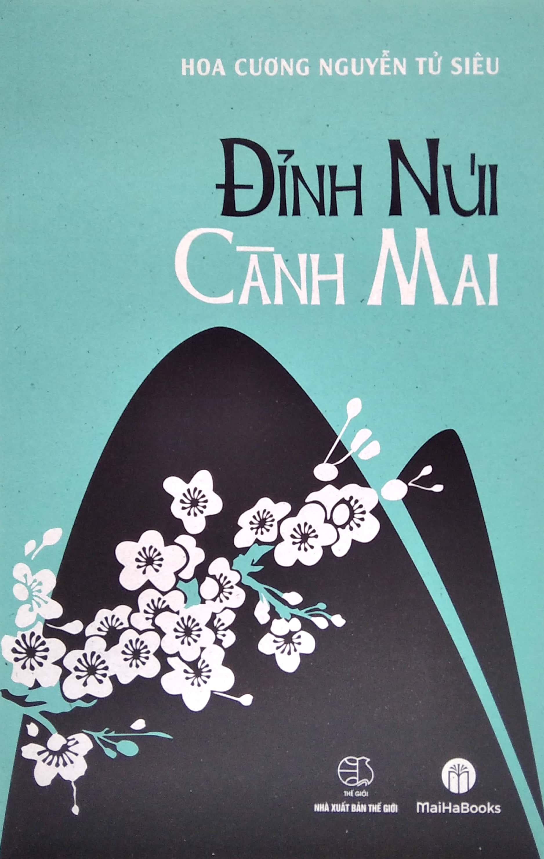 đỉnh núi cành mai - Ảnh 2