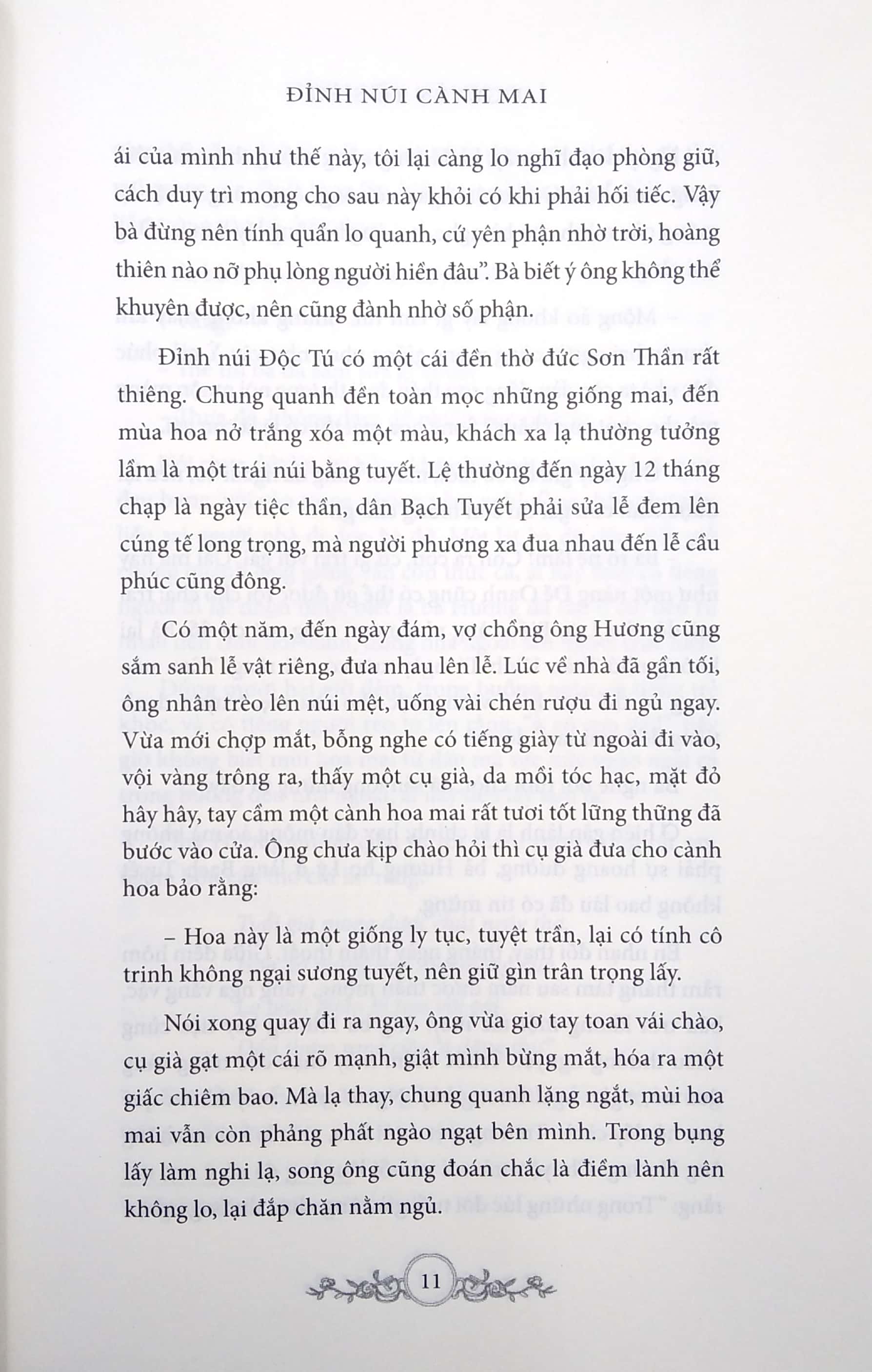 đỉnh núi cành mai - Ảnh 6