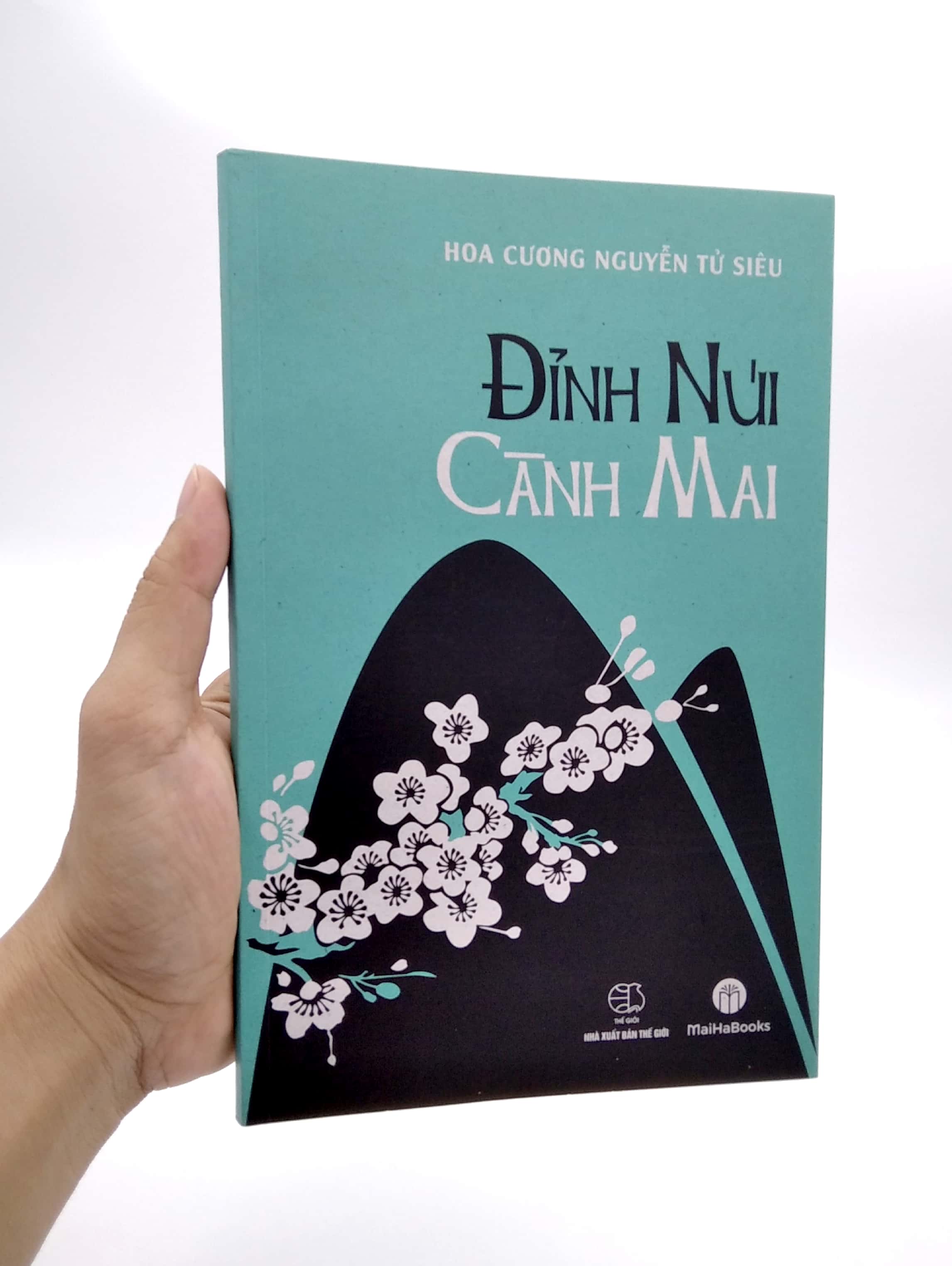 đỉnh núi cành mai - Ảnh 7