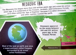 dinosaur attack- jigsaw puzzle and fact book (500 pieces) - Ảnh 2