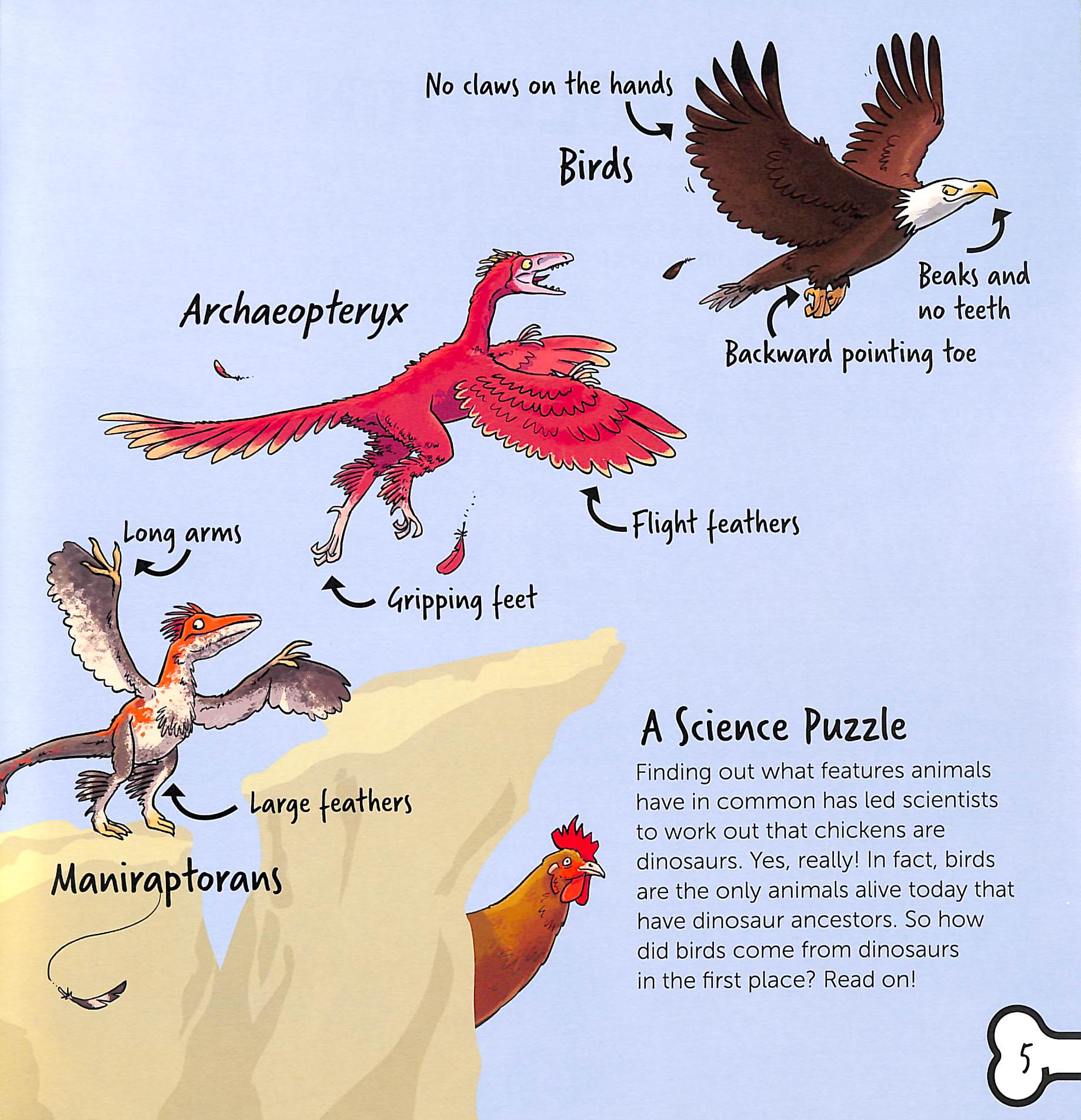 Dinosaur Science - Are Chickens Really Dinosaurs?! - Ảnh 5