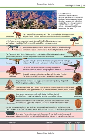 dinosaurs and other prehistoric life (dk smithsonian handbook) - Ảnh 10