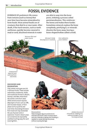 dinosaurs and other prehistoric life (dk smithsonian handbook) - Ảnh 11