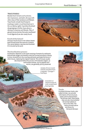 dinosaurs and other prehistoric life (dk smithsonian handbook) - Ảnh 12