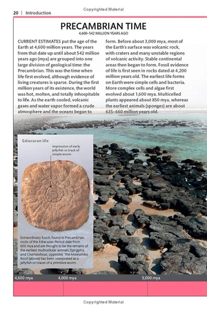 dinosaurs and other prehistoric life (dk smithsonian handbook) - Ảnh 13