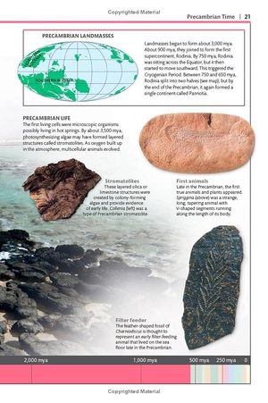 dinosaurs and other prehistoric life (dk smithsonian handbook) - Ảnh 14