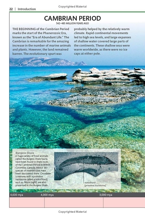 dinosaurs and other prehistoric life (dk smithsonian handbook) - Ảnh 15