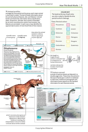 dinosaurs and other prehistoric life (dk smithsonian handbook) - Ảnh 7
