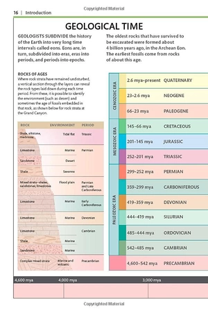 dinosaurs and other prehistoric life (dk smithsonian handbook) - Ảnh 9
