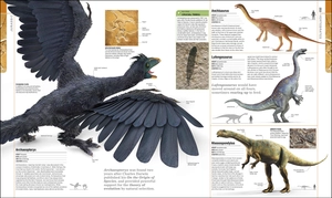 dinosaurs and prehistoric life - the definitive visual guide to prehistoric animals - Ảnh 4