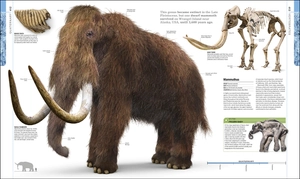 dinosaurs and prehistoric life - the definitive visual guide to prehistoric animals - Ảnh 6