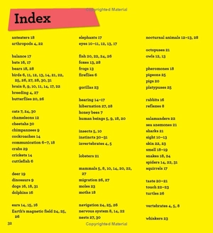 discover it yourself - animals in action - Ảnh 7