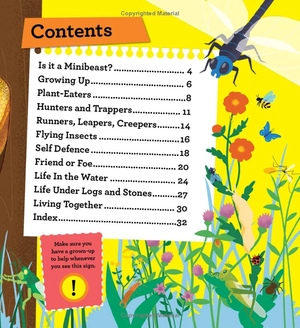 discover it yourself - minibeasts - Ảnh 5