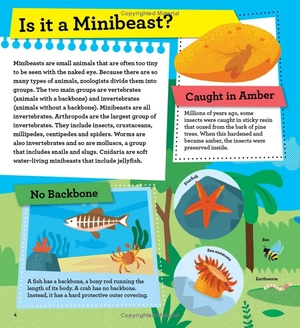 discover it yourself - minibeasts - Ảnh 6