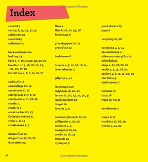 discover it yourself - minibeasts - Ảnh 7