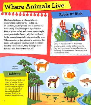 discover it yourself - nature at risk - Ảnh 5