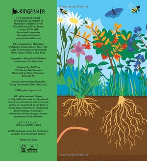 discover it yourself - plants and flowers - Ảnh 4