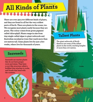 discover it yourself - plants and flowers - Ảnh 6