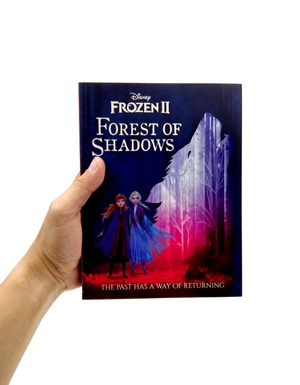 disney frozen 2: forest of shadows - Ảnh 7