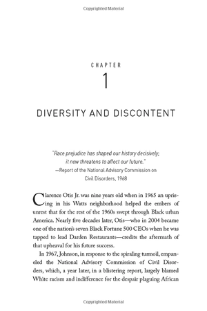 diversity, inc.: the fight for racial equality in the workplace - Ảnh 5
