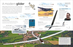 dk eyewitness: flight - Ảnh 10